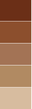 Brown - Color Psychology