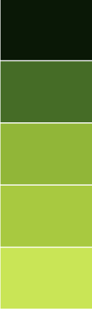 Green - Color Psychology